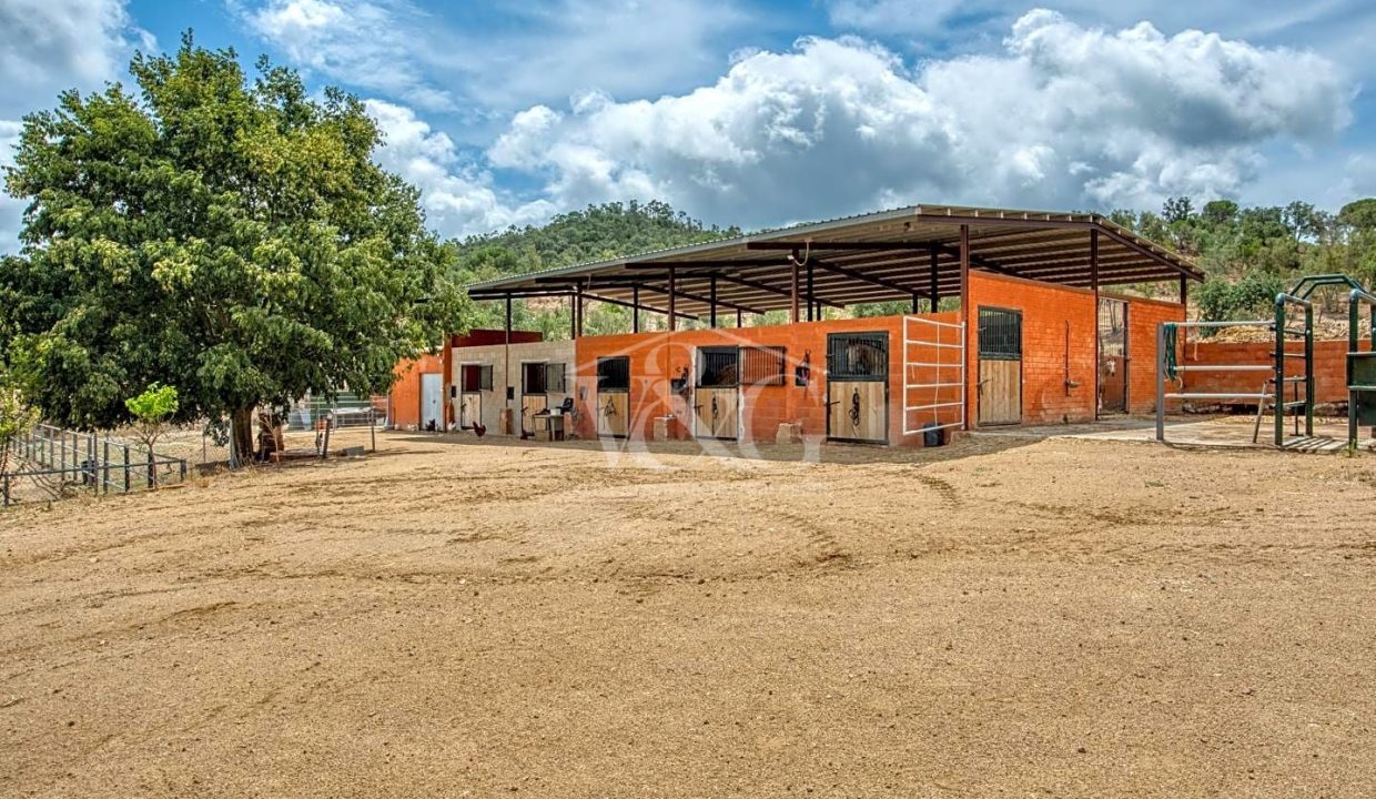15b3d721-0003228386