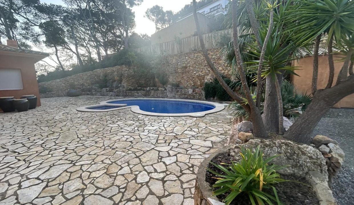 4085850-86e2d832