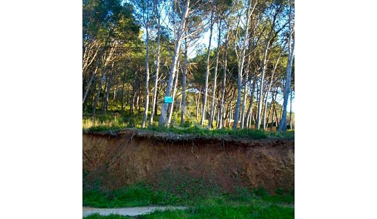 b8bfa730-0003958252