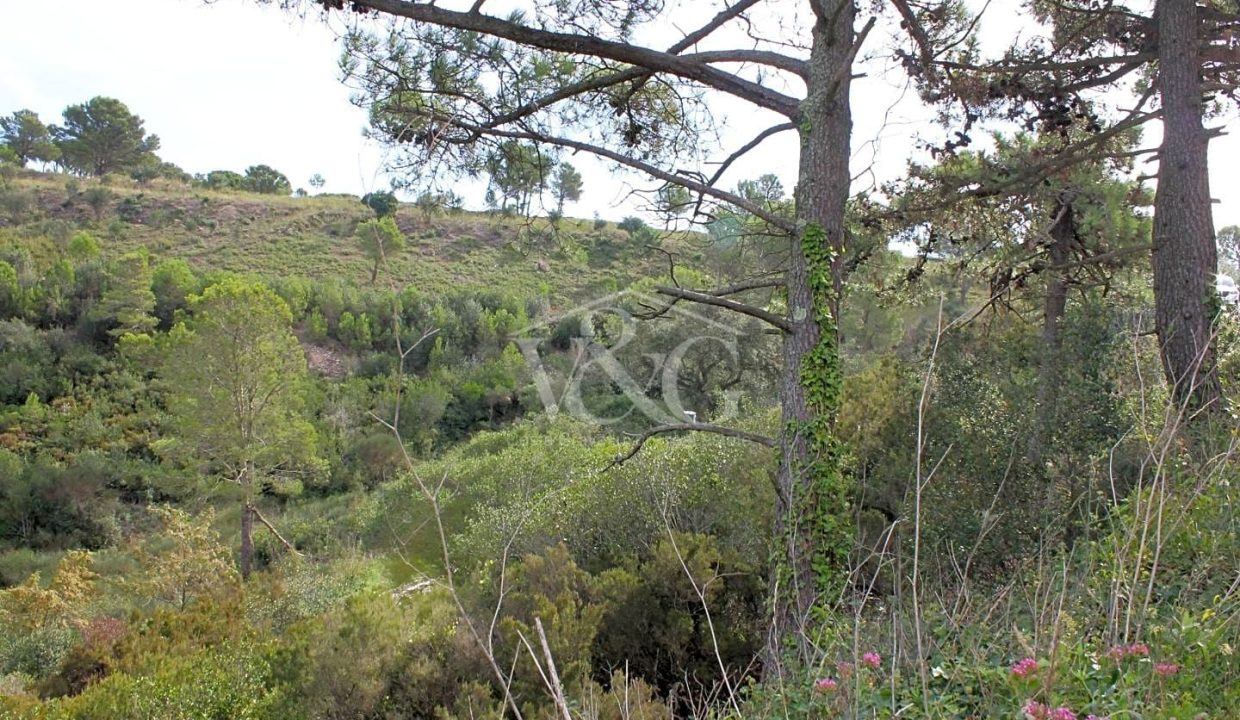 df1d168e-0003798003